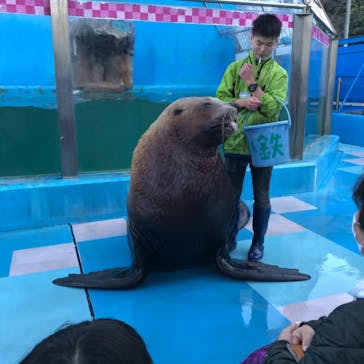ゼロ距離水族館 伊勢シーパラダイスに投稿された画像（2020/12/6）