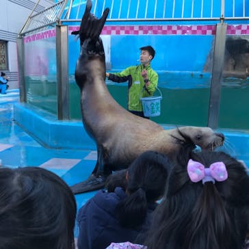 ゼロ距離水族館 伊勢シーパラダイスに投稿された画像（2020/12/6）