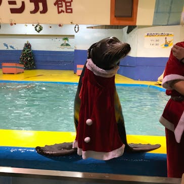 ゼロ距離水族館 伊勢シーパラダイスに投稿された画像（2020/12/6）