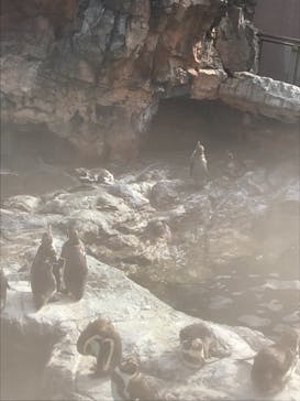 アクアワールド茨城県大洗水族館に投稿された画像（2020/12/6）