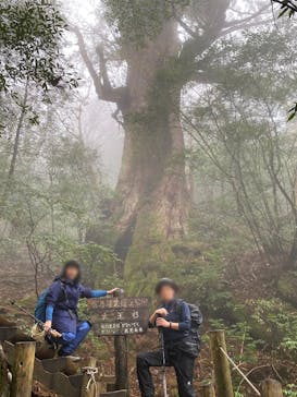 屋久島ガイドクラブに投稿された画像（2020/12/6）