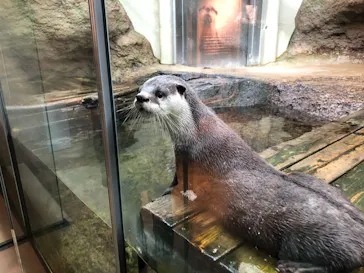 仙台うみの杜水族館に投稿された画像（2020/12/6）