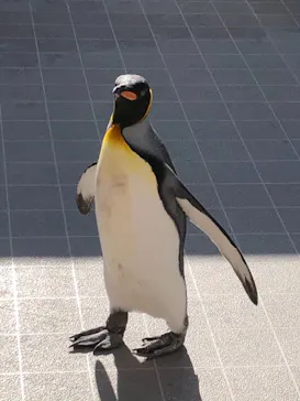 仙台うみの杜水族館に投稿された画像（2020/12/6）