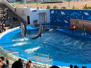 仙台うみの杜水族館に投稿された画像（2020/12/6）