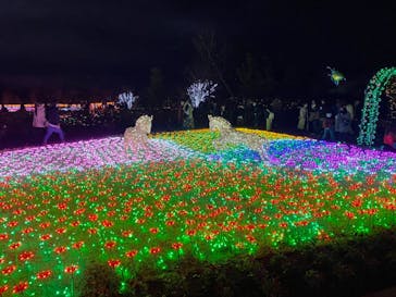 東武動物公園に投稿された画像（2020/12/6）