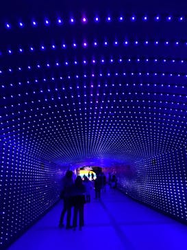 東京メガイルミに投稿された画像（2020/12/6）