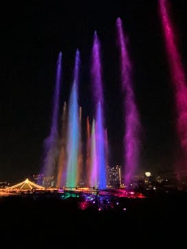 東京メガイルミに投稿された画像（2020/12/6）