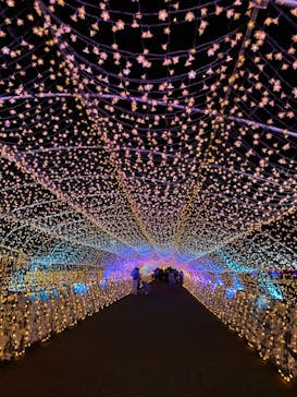 東京メガイルミに投稿された画像（2020/12/6）