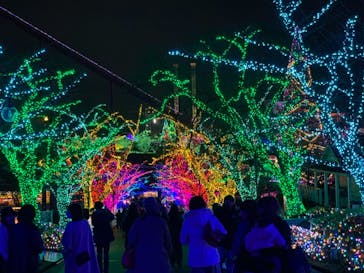 よみうりランド 遊園地に投稿された画像（2020/12/6）