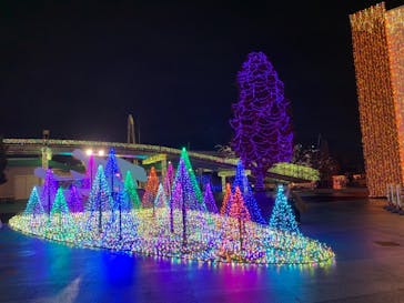 よみうりランド 遊園地に投稿された画像（2020/12/6）