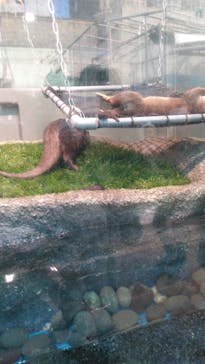 サンシャイン水族館に投稿された画像（2020/12/6）