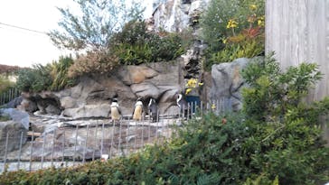 サンシャイン水族館に投稿された画像（2020/12/6）