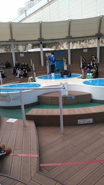 サンシャイン水族館に投稿された画像（2020/12/6）