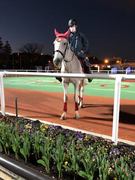 東京メガイルミに投稿された画像（2020/12/6）