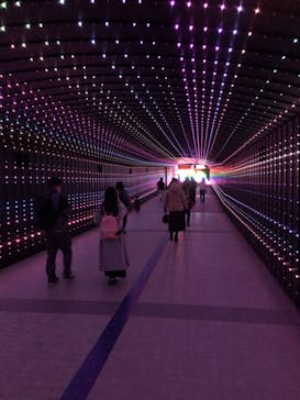 東京メガイルミに投稿された画像（2020/12/6）