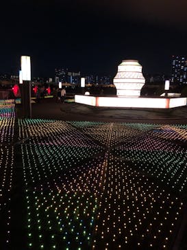 東京メガイルミに投稿された画像（2020/12/6）