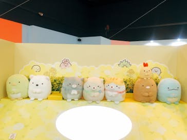 日本モンキーパークに投稿された画像（2020/12/6）