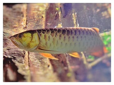 サンシャイン水族館に投稿された画像（2020/12/6）