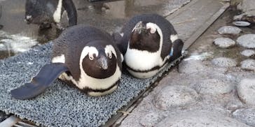 横浜・八景島シーパラダイスに投稿された画像（2020/12/6）