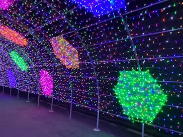 よみうりランド 遊園地に投稿された画像（2020/12/6）