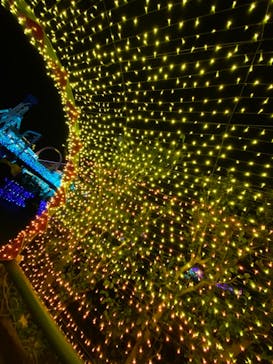 よみうりランド 遊園地に投稿された画像（2020/12/6）