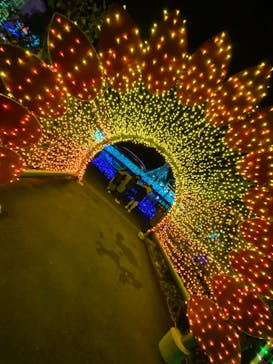 よみうりランド 遊園地に投稿された画像（2020/12/6）