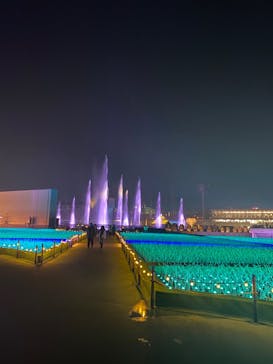 東京メガイルミに投稿された画像（2020/12/6）