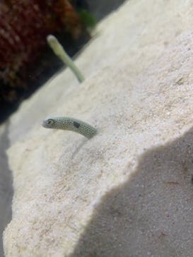 京都水族館に投稿された画像（2020/12/6）