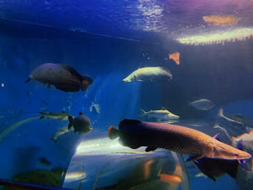 株式会社Gに投稿された画像（2020/12/6）