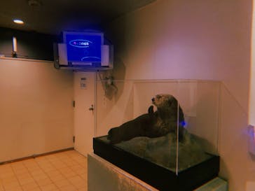 株式会社Gに投稿された画像（2020/12/6）