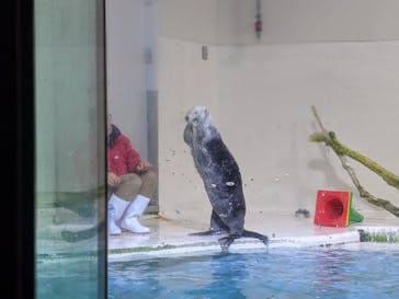鳥羽水族館に投稿された画像（2020/12/6）