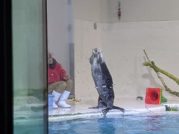 鳥羽水族館に投稿された画像（2020/12/6）