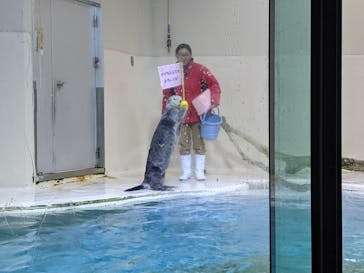 鳥羽水族館に投稿された画像（2020/12/6）