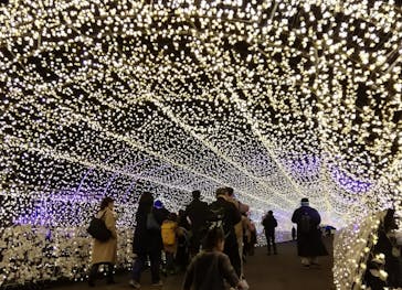 東京メガイルミに投稿された画像（2020/12/6）