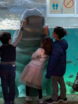 天王寺動物園に投稿された画像（2020/12/6）