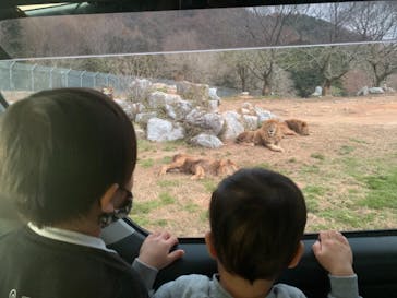 秋吉台自然動物公園 サファリランドに投稿された画像（2020/12/6）