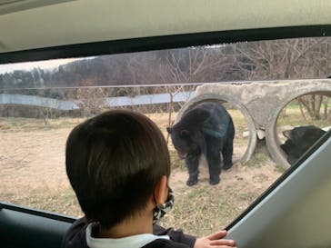 秋吉台自然動物公園 サファリランドに投稿された画像（2020/12/6）