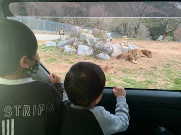 秋吉台自然動物公園 サファリランドに投稿された画像（2020/12/6）