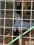 しろとり動物園に投稿された画像（2020/12/6）