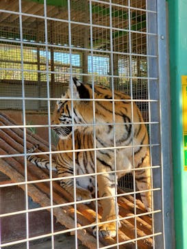 しろとり動物園に投稿された画像（2020/12/6）