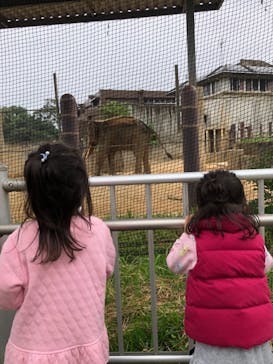 沖縄こどもの国に投稿された画像（2020/12/6）