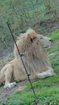 秋吉台自然動物公園 サファリランドに投稿された画像（2020/12/6）