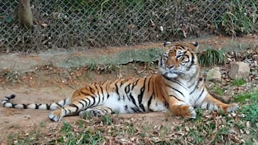 秋吉台自然動物公園 サファリランドに投稿された画像（2020/12/6）