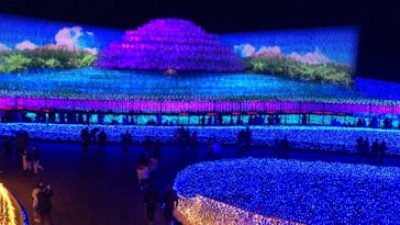 なばなの里に投稿された画像（2020/12/6）