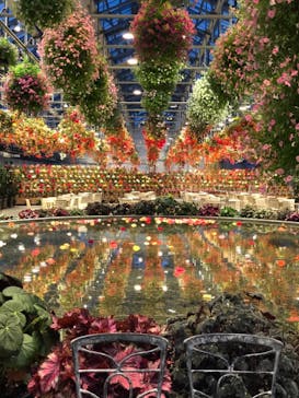 なばなの里に投稿された画像（2020/12/6）