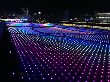 東京メガイルミに投稿された画像（2020/12/6）