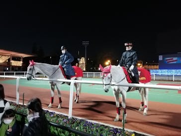 東京メガイルミに投稿された画像（2020/12/6）