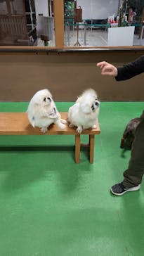 神戸どうぶつ王国に投稿された画像（2020/12/6）