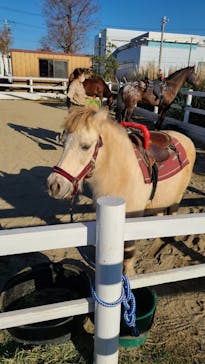 神戸どうぶつ王国に投稿された画像（2020/12/6）