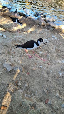 神戸どうぶつ王国に投稿された画像（2020/12/6）